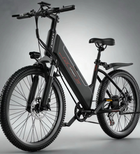 EcoBike Alpine 500W electric mountain bike Australia black — buy affordable electric mountain bike online EcoBike free shipping