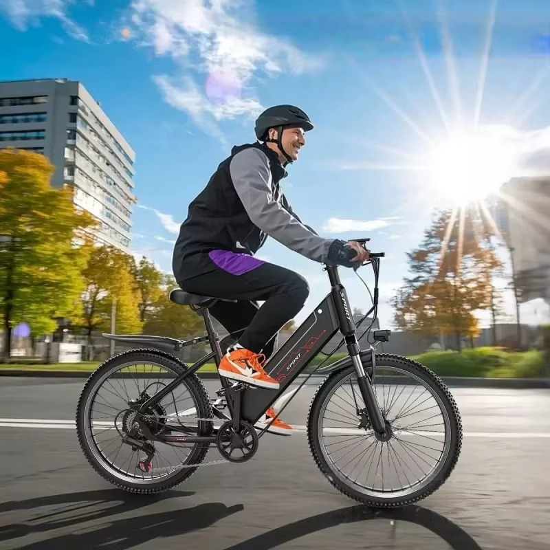 EcoBike Alpine electric mountain bike mens commuter Australia city ride — buy best electric mountain bike online free shipping