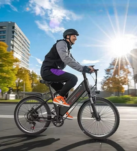 EcoBike Alpine electric mountain bike mens commuter Australia city ride — buy best electric mountain bike online free shipping