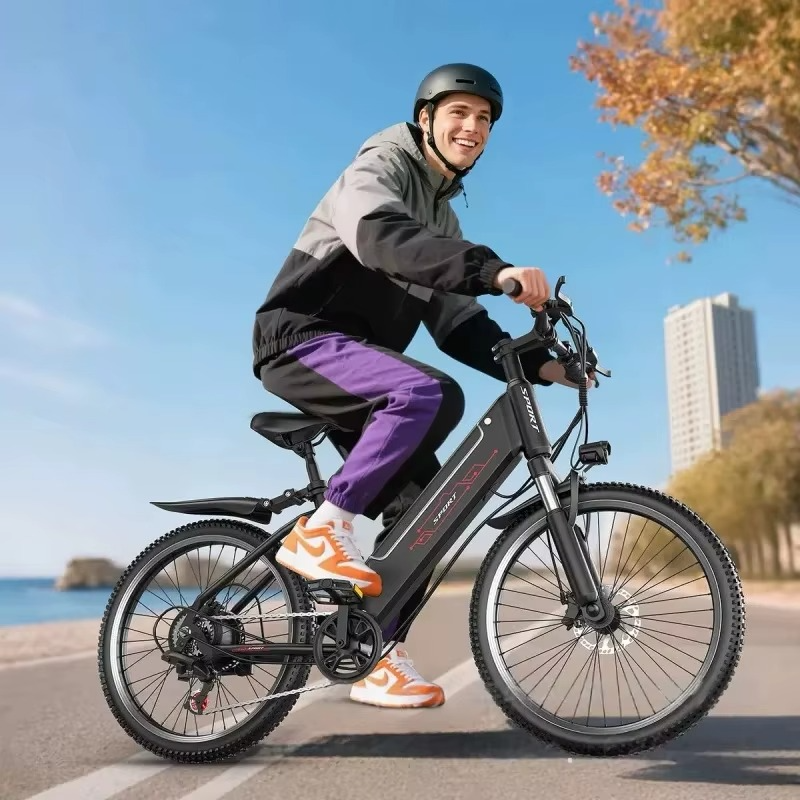 EcoBike Alpine electric mountain bike mens rider Australia coastal city — buy electric mountain bike online EcoBike