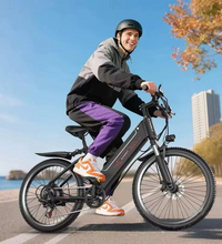 EcoBike Alpine electric mountain bike mens rider Australia coastal city — buy electric mountain bike online EcoBike