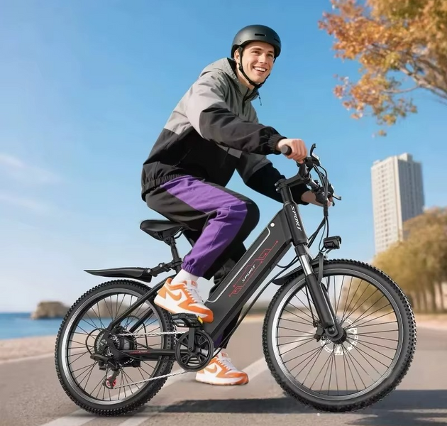 EcoBike Alpine 500W electric mountain bike Australia black — buy affordable electric mountain bike online EcoBike free shipping
