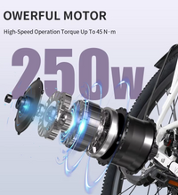 EcoBike Breeze 250W brushless motor 45Nm city electric bike Australia — buy electric commuter bike online free shipping