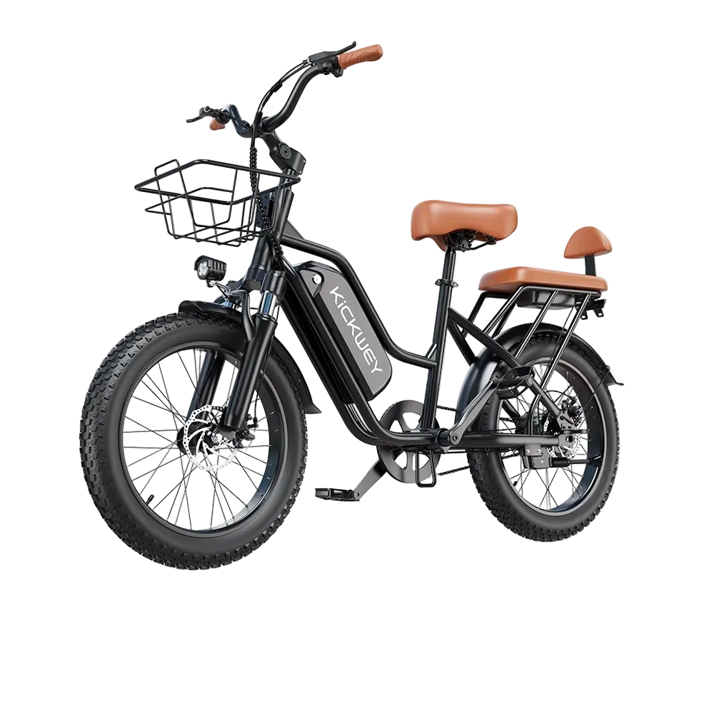 EcoBike Cruiser 1500W 48V 20Ah 2-seater electric bike Australia — buy electric bike free shipping EcoBike