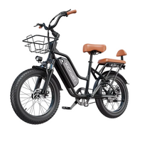 EcoBike Cruiser 1500W 48V 20Ah 2-seater electric bike Australia — buy electric bike free shipping EcoBike