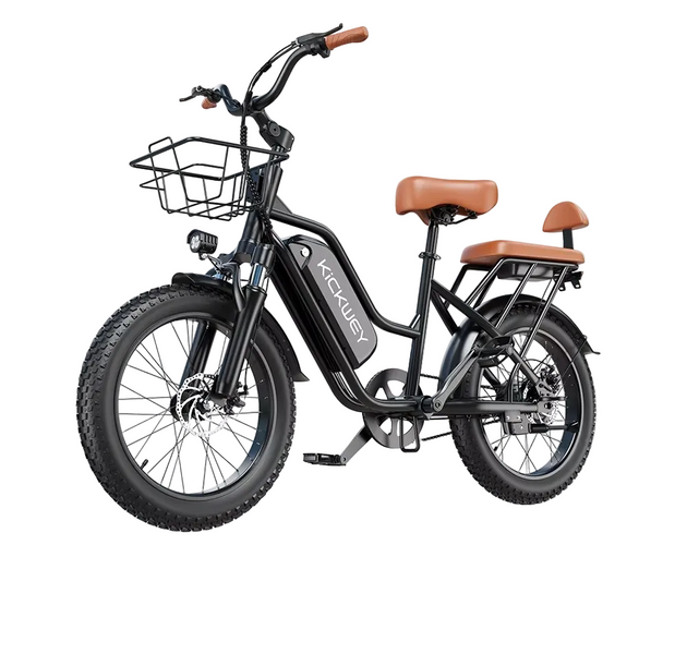 EcoBike Cruiser 1500W 48V 20Ah 2-seater electric bike Australia — buy electric bike free shipping EcoBike