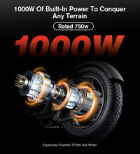 EcoBike Ranger 1000W peak brushless hub motor rated 750W — 70Nm torque, built-in power to conquer any terrain — fat tyre electric bike motor Australia