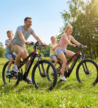 EcoBike Ranger YG90 full suspension electric bike Australia grey CST BFT tyres rear rack — buy online EcoBike free shipping