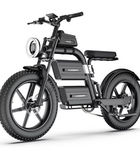 EcoBike S4 20x4.0 fat tyre electric bike adaptable to all terrains — snow road, beach road, mountain road and city road — fat tyre e-bike all-terrain Australia