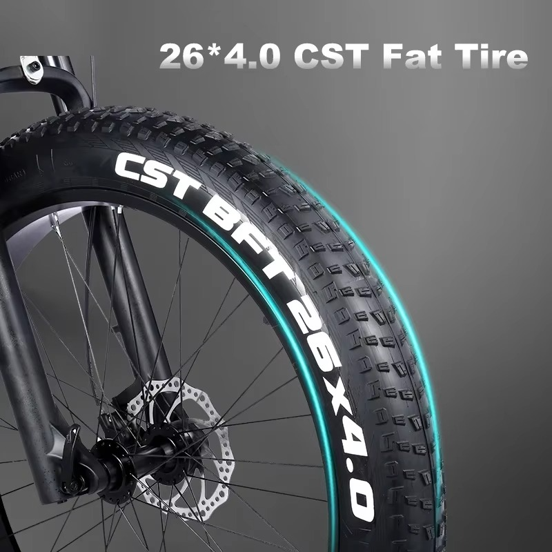 EcoBike Storm 26x4.0 CST BFT fat tyre electric mountain bike Australia — buy fat tyre electric mountain bike online EcoBike