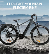 EcoBike Summit electric mountain bike Australia mountain trail — best electric mountain bike buy online EcoBike