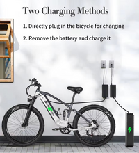 EcoBike Viper electric mountain bike two charging methods removable battery Australia — buy electric mountain bike online EcoBike